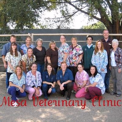 staff profile