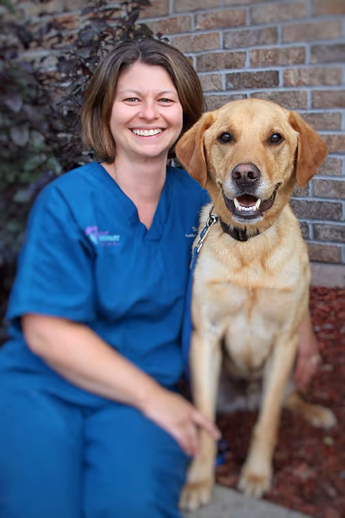 staff profile