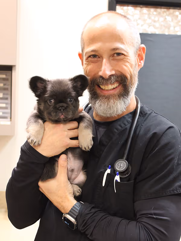 staff profile