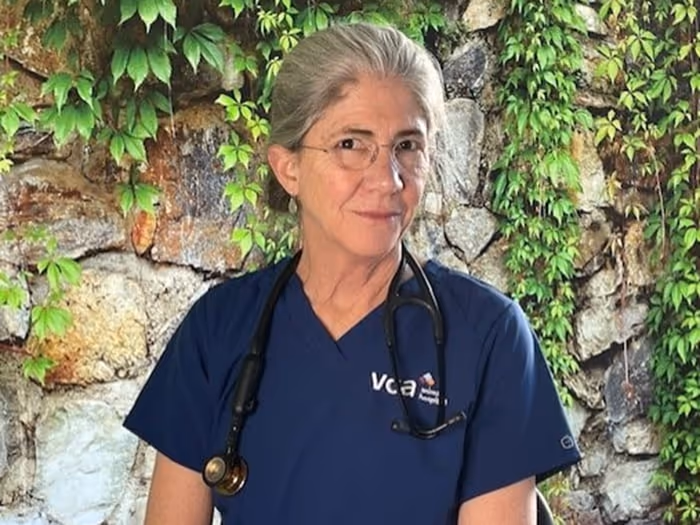 staff profile