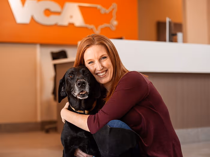 staff profile