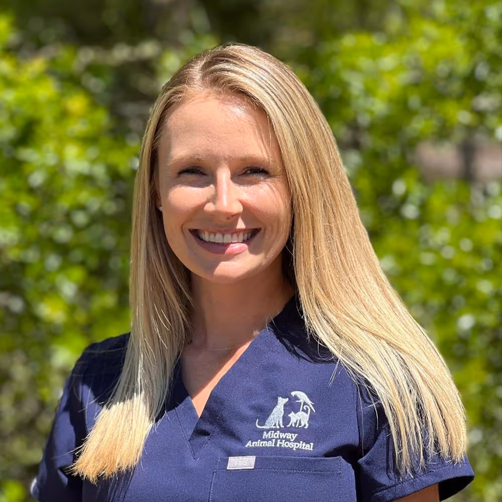 staff profile