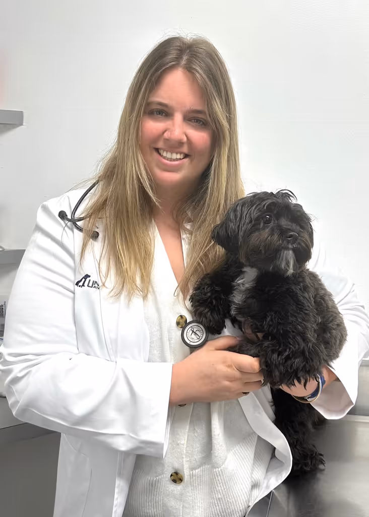 staff profile