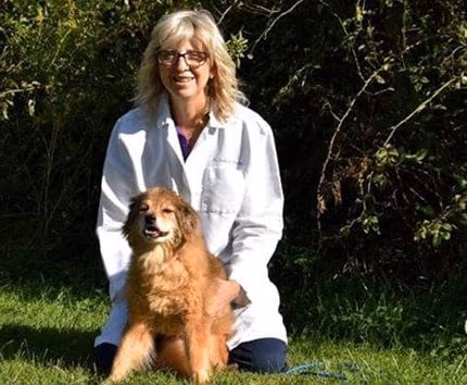 staff profile