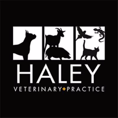 staff profile