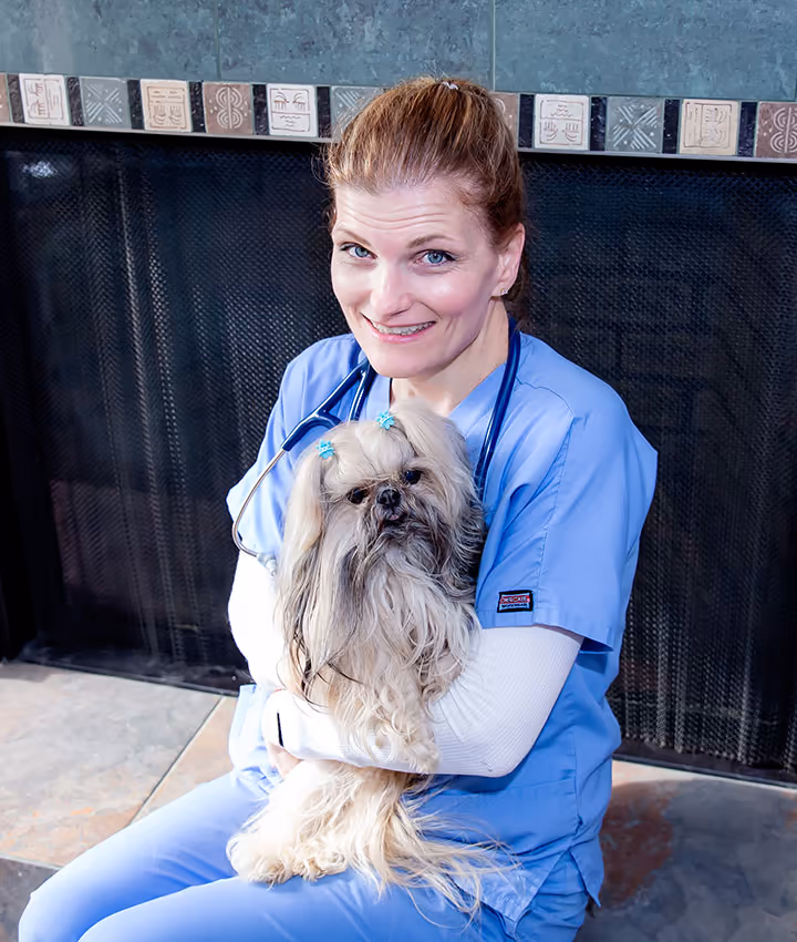 staff profile