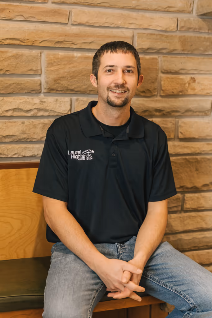 staff profile