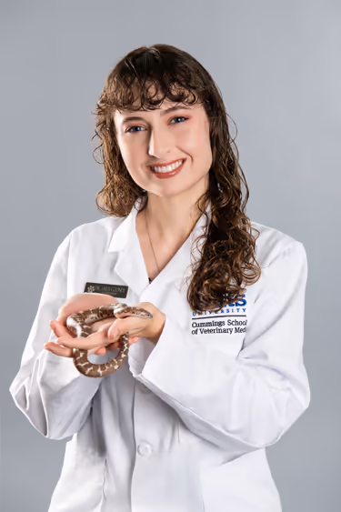 staff profile