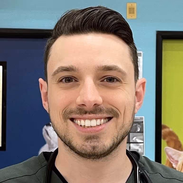 staff profile