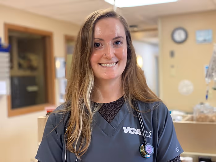 staff profile
