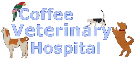 facility profile image
