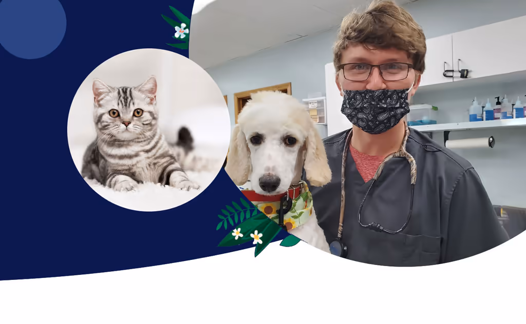 staff profile