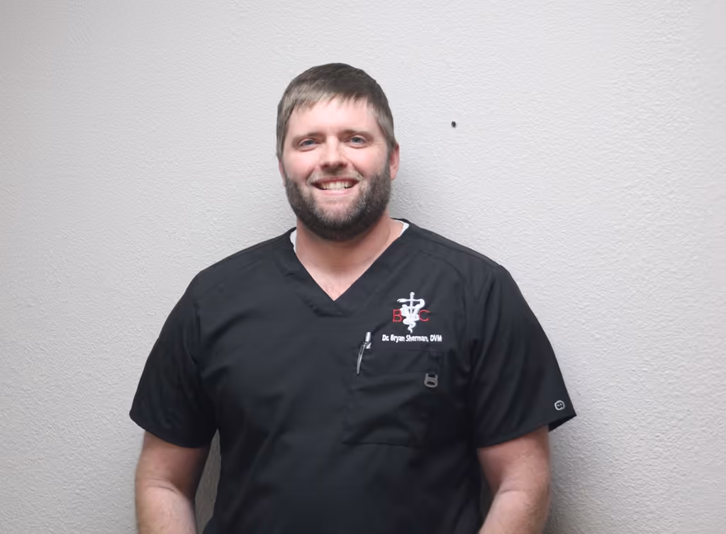 staff profile