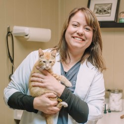 staff profile