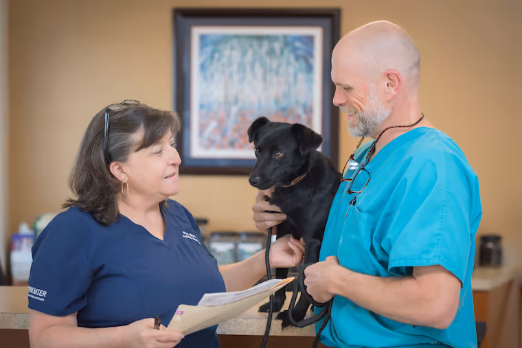 staff profile