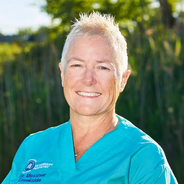 staff profile