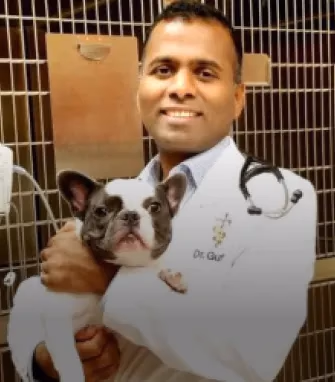 staff profile