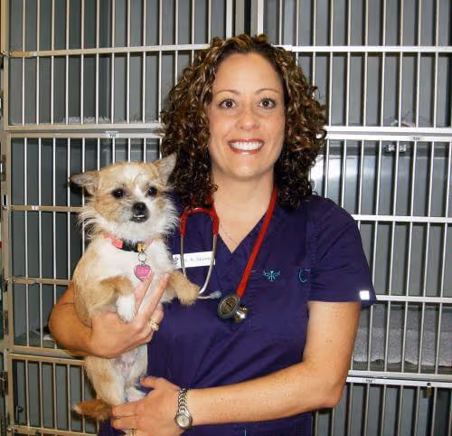 staff profile