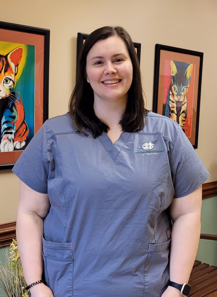 staff profile