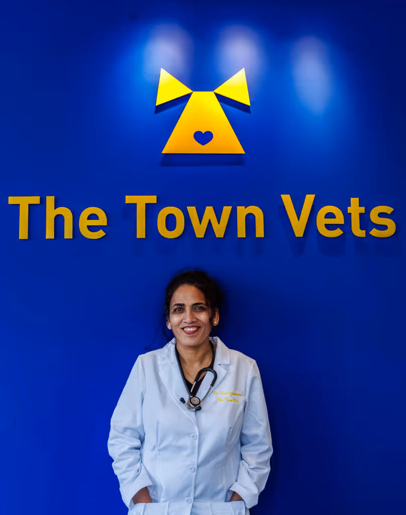 staff profile