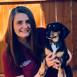 staff profile