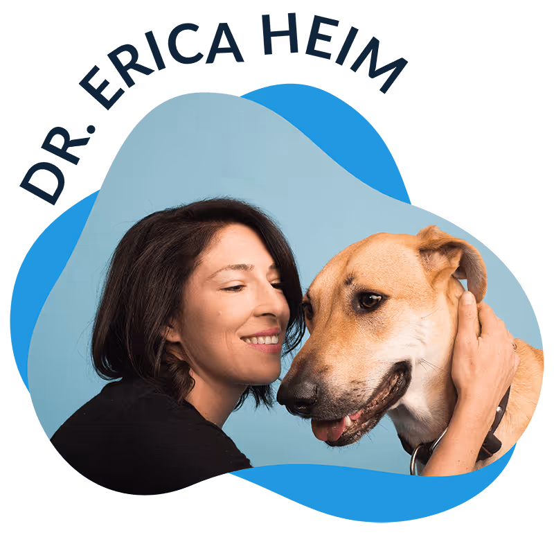staff profile