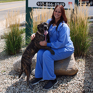staff profile