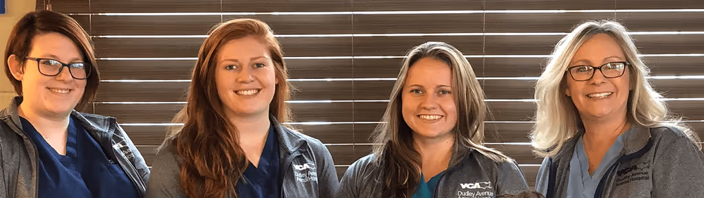 staff profile
