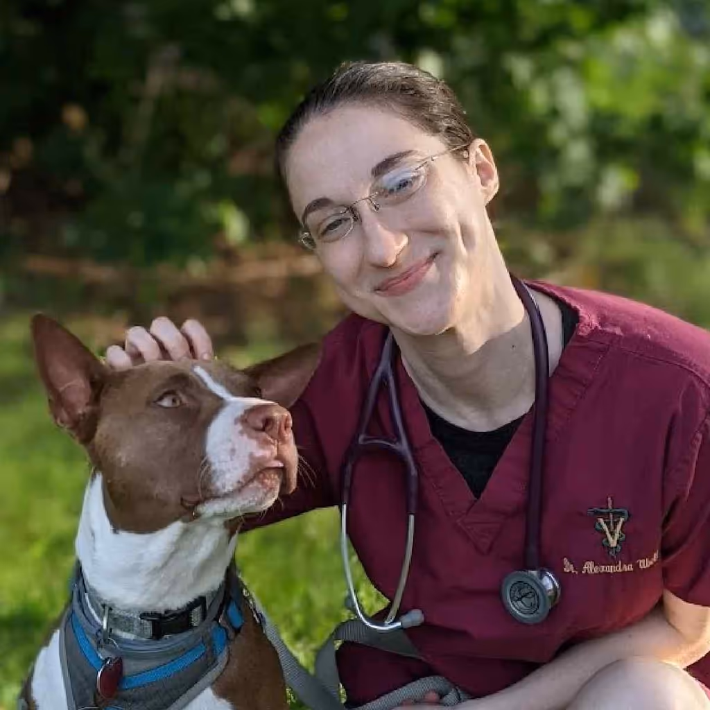 staff profile
