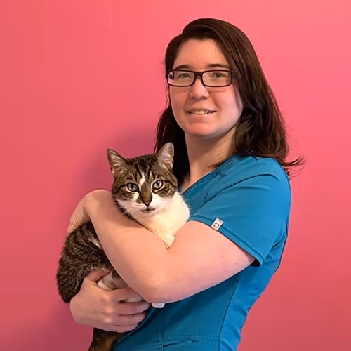 staff profile