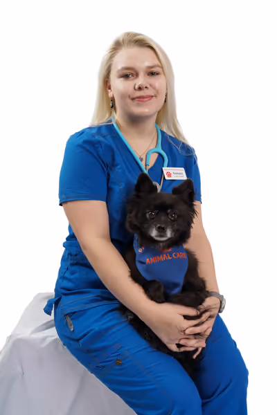 staff profile