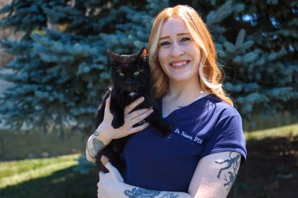 staff profile