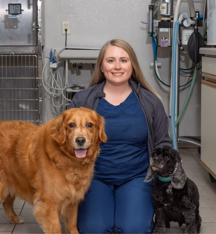 staff profile