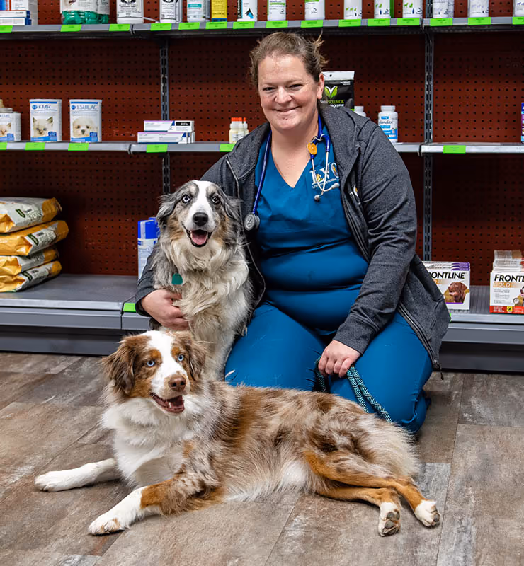 staff profile