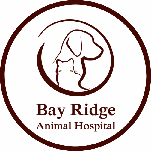 staff profile