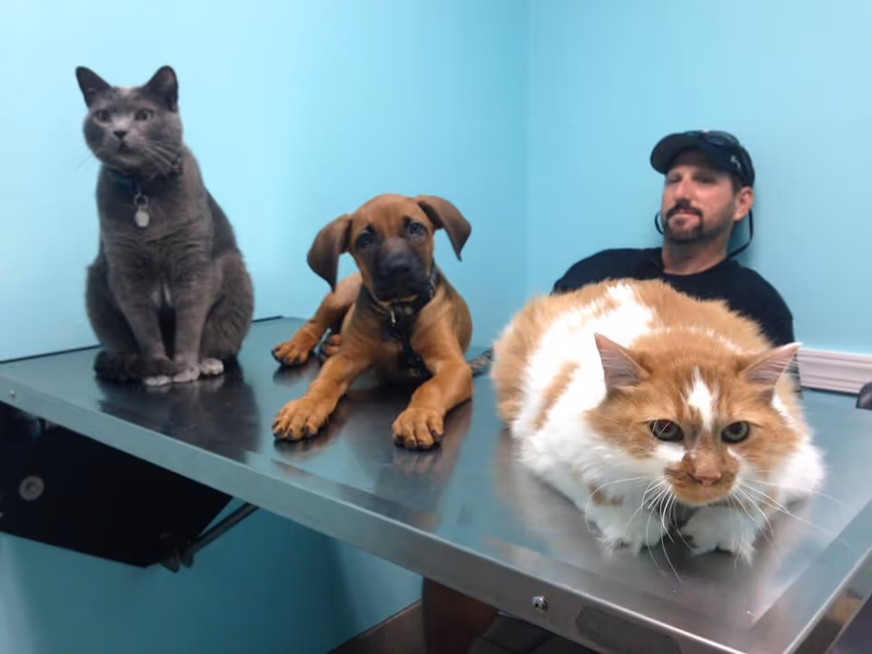 staff profile