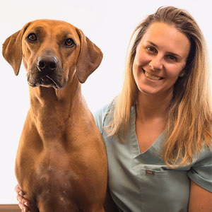 staff profile