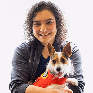 staff profile