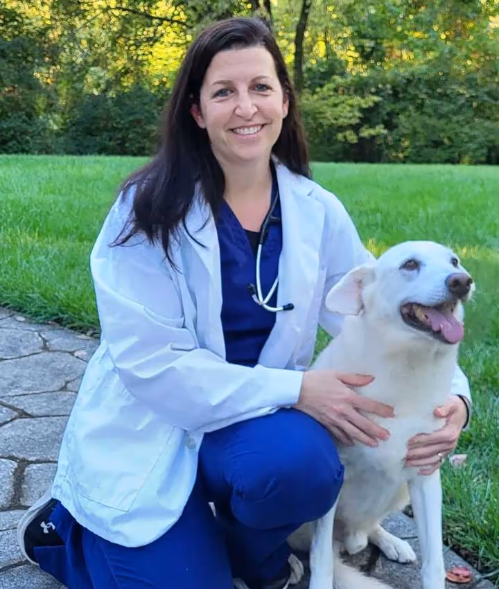 staff profile
