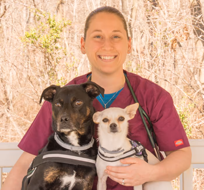 staff profile
