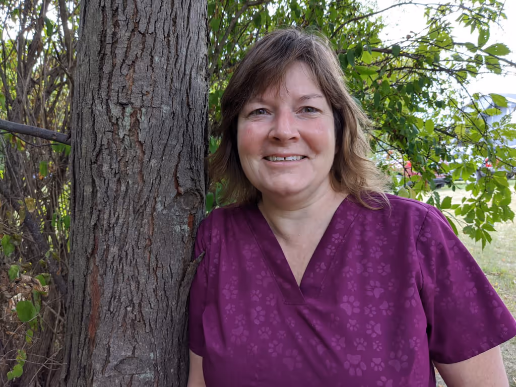 staff profile