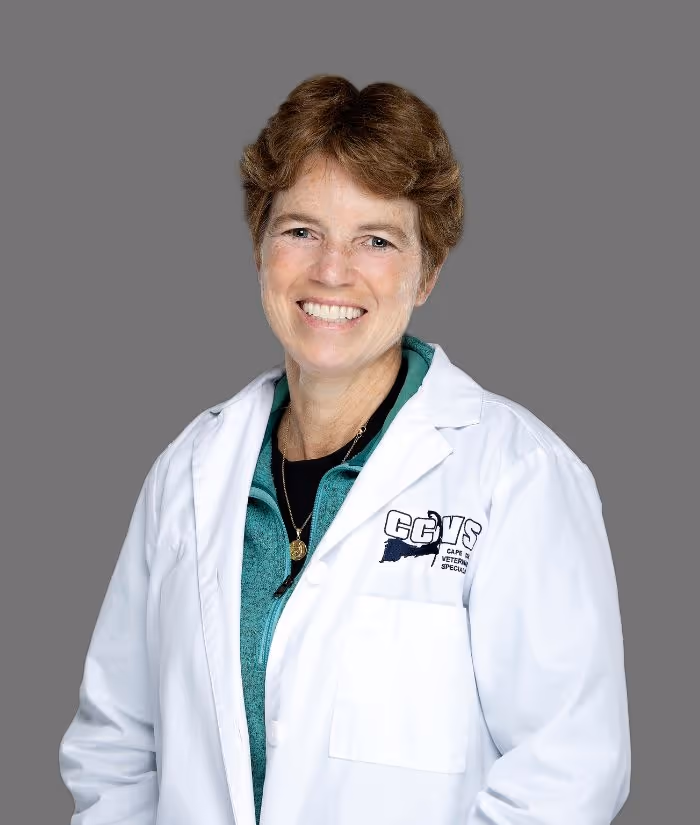 staff profile