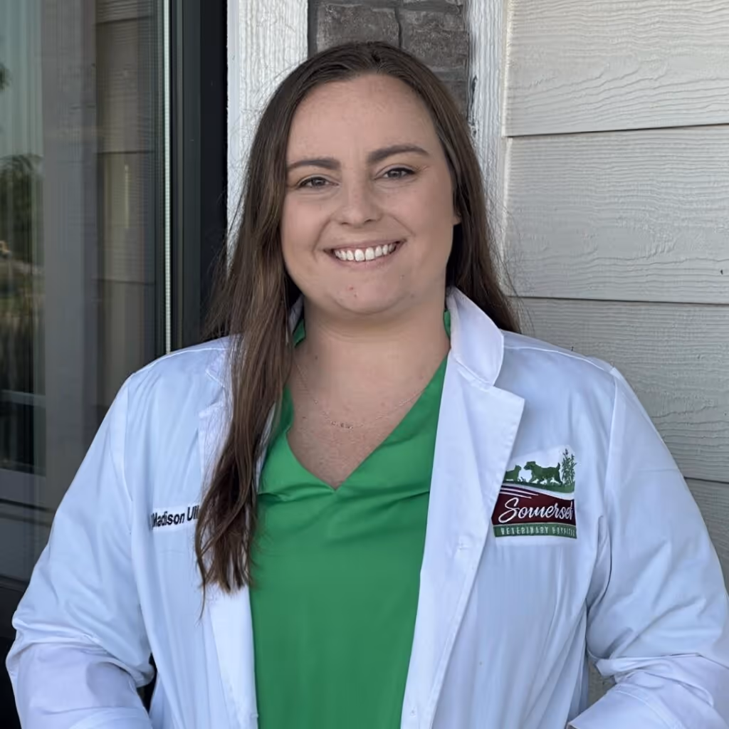 staff profile