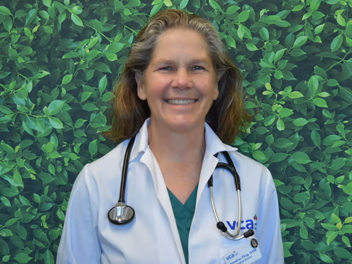 staff profile