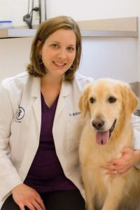 staff profile