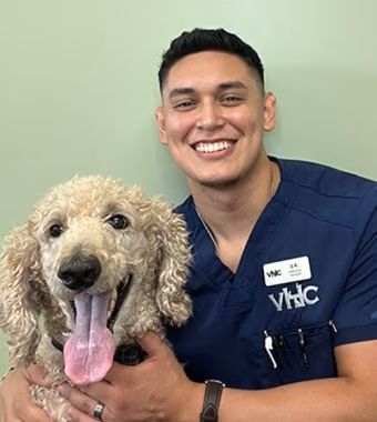 staff profile