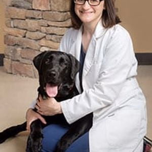 staff profile