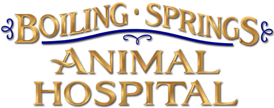 facility profile image