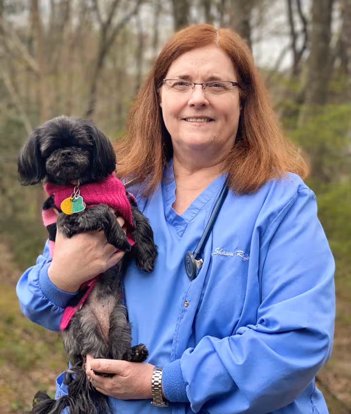 staff profile