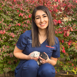 staff profile
